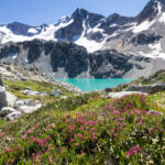 Turquoise Wedgemount Lake, Wedge Mountain and Alpine flowers, Whistler, BC