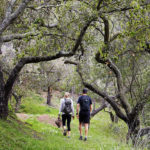 The_Ranch_Malibu_700x700_02