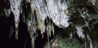 Camuy Cave Park, Camuy