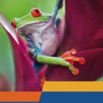 GlobalHealthPassport-Spa-Small-Cover