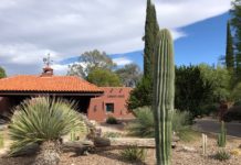 Canyon Ranch Tucson, photo Travel to Wellness