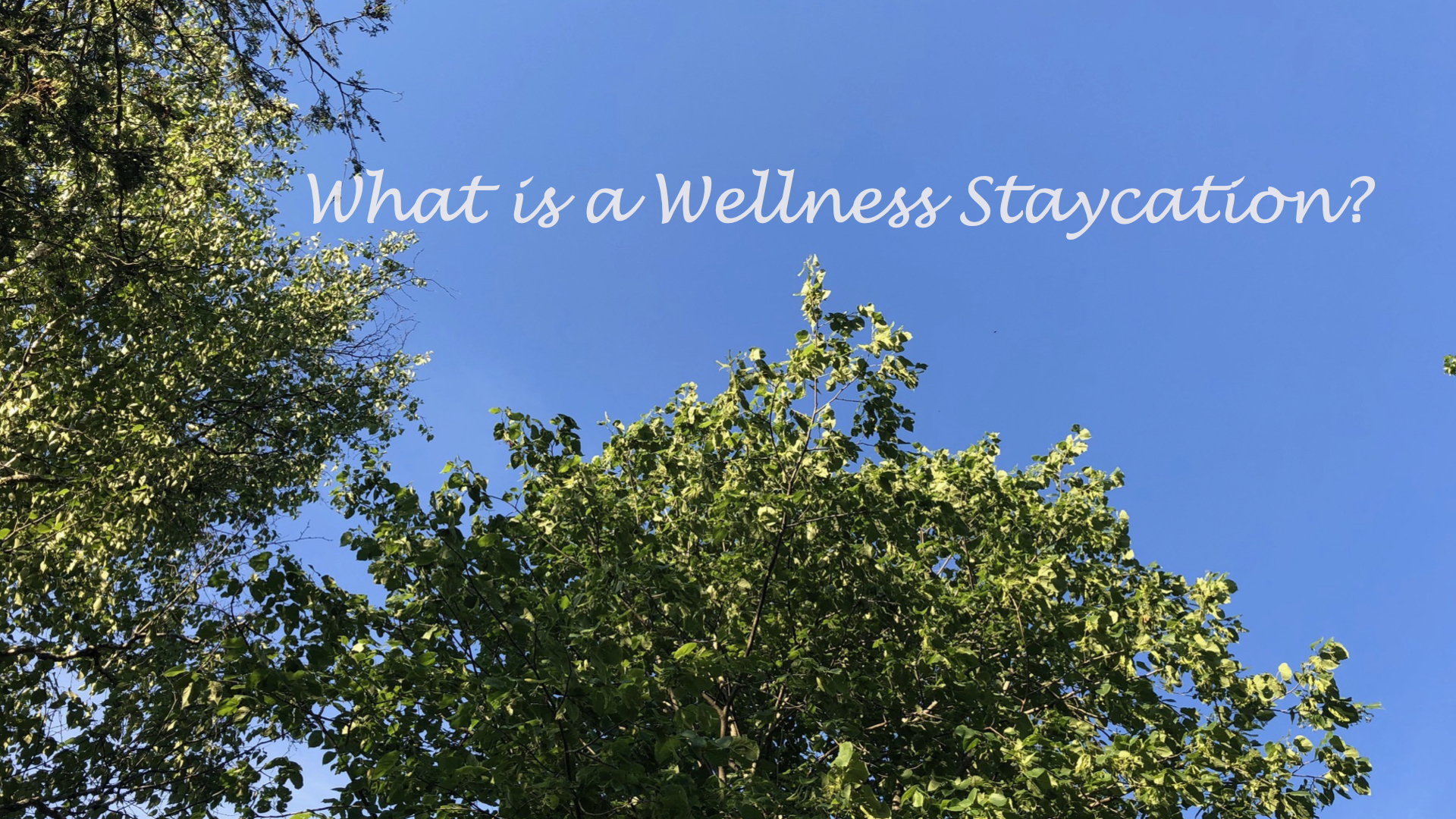 What is a Wellness Staycation