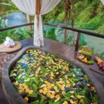 DjunaIvereighforFivelementsHealingWellness