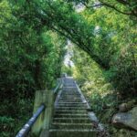 C6CF593C-BD3A-43BE-A297-C3D176A41BD4